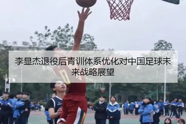 李显杰退役后青训体系优化对中国足球未来战略展望