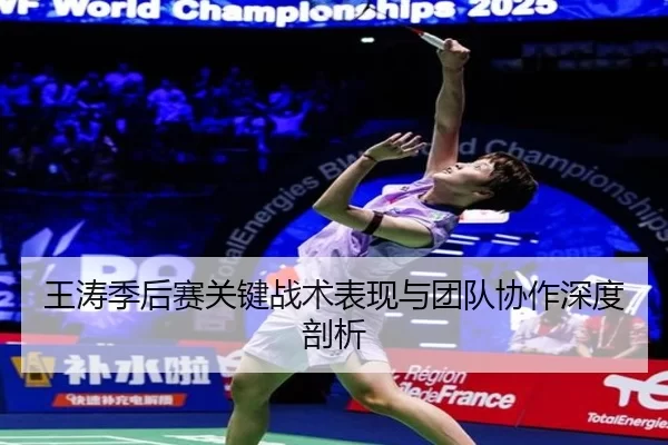 王涛季后赛关键战术表现与团队协作深度剖析
